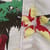 Belukha Printed Swim Shorts  Peapod